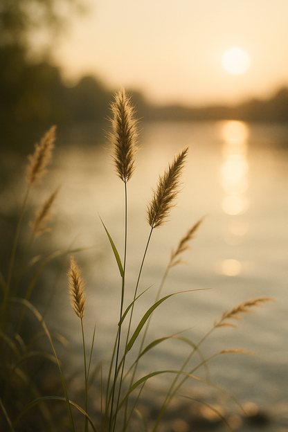 Tortenaufleger "Trauer & Erinnerung" – Essbares Fondantbild (Erwachsene, DIN A4) Mein Shop
