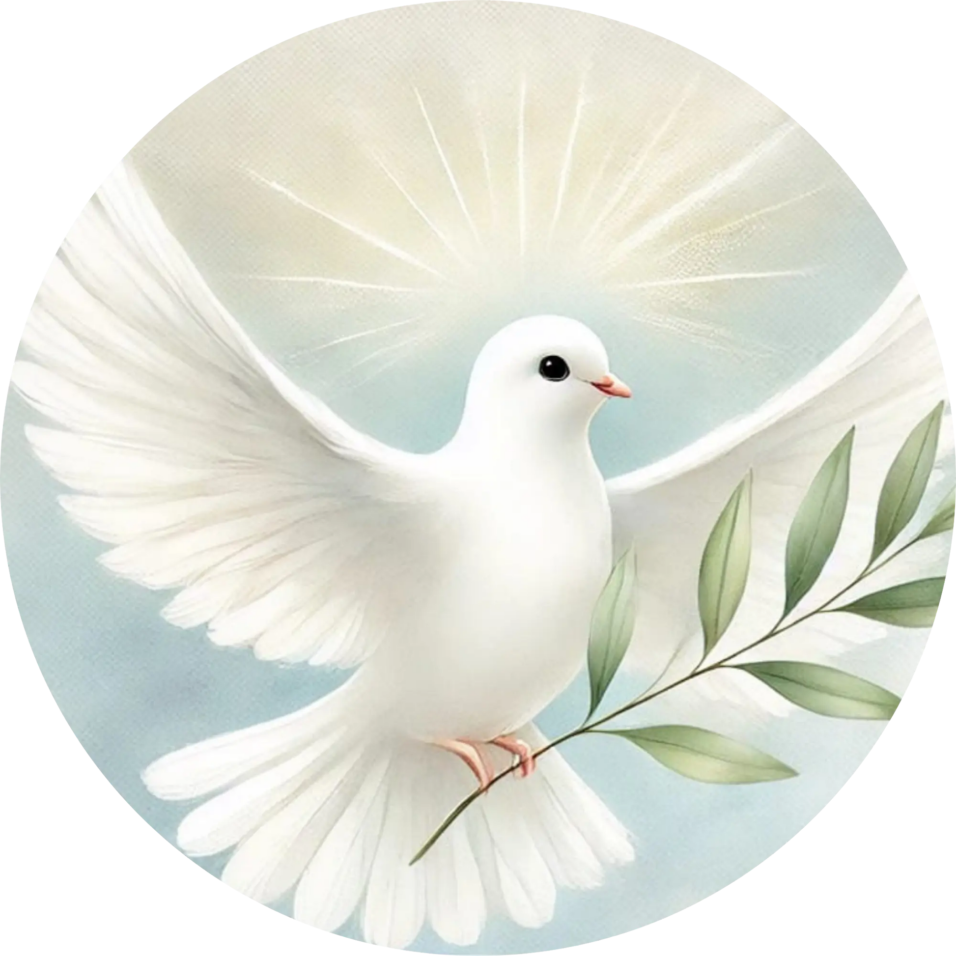 Weiße Taube in den Wolken mit Lichtschein – spirituelles Motiv zur Konfirmation
